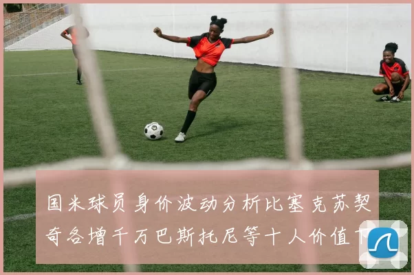 国米球员身价波动分析比塞克苏契奇各增千万巴斯托尼等十人价值下滑