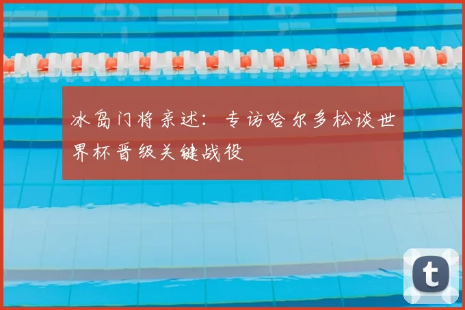 冰岛门将亲述:专访哈尔多松谈世界杯晋级关键战役