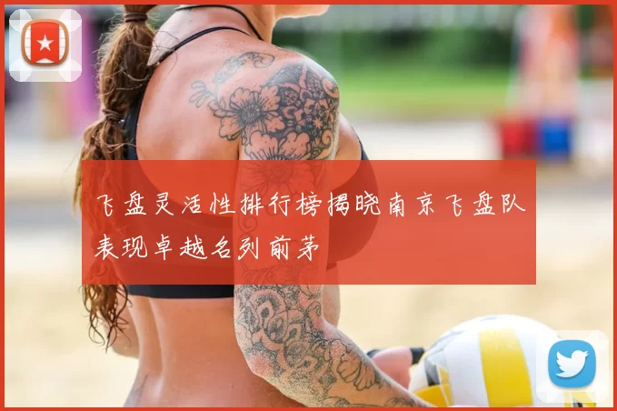 飞盘灵活性排行榜揭晓南京飞盘队表现卓越名列前茅