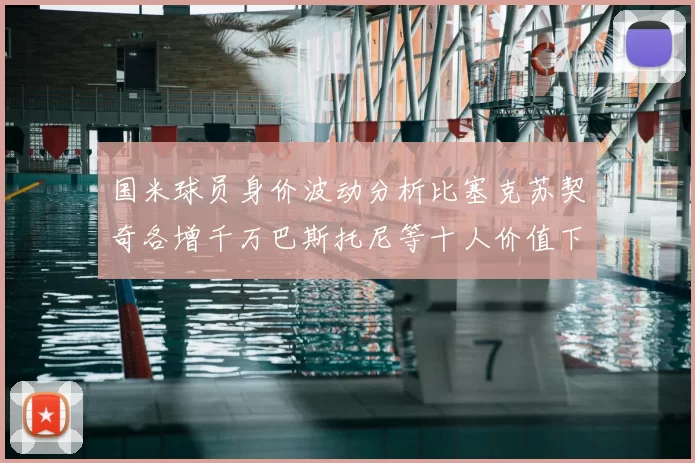 国米球员身价波动分析比塞克苏契奇各增千万巴斯托尼等十人价值下滑