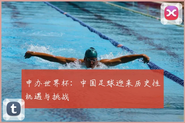 申办世界杯:中国足球迎来历史性机遇与挑战
