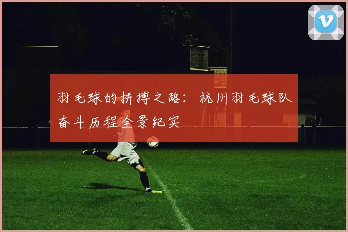 羽毛球的拼搏之路：杭州羽毛球队奋斗历程全景纪实