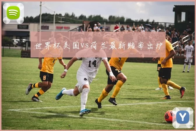 世界杯美国vs荷兰最新赔率出炉