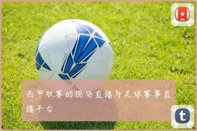 西甲联赛的现场直播与足球赛事直播平台