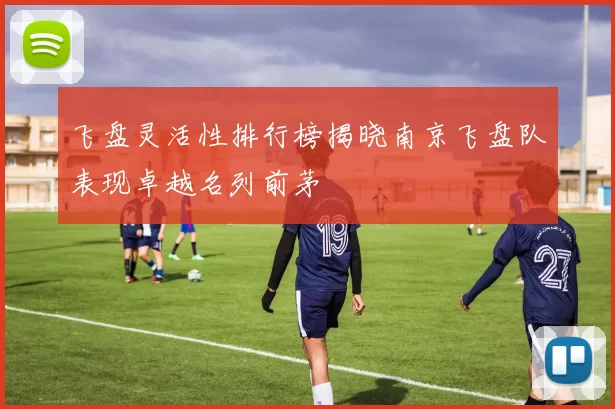 飞盘灵活性排行榜揭晓南京飞盘队表现卓越名列前茅