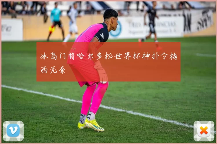 冰岛门将哈尔多松世界杯神扑令梅西无奈