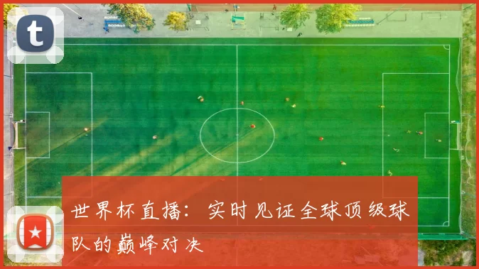 世界杯直播:实时见证全球顶级球队的巅峰对决